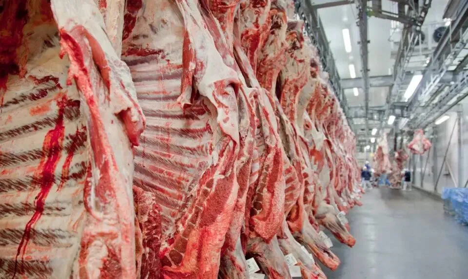 Preço do frete para exportação de carne mais que dobrou mês passado com guerra no Irã