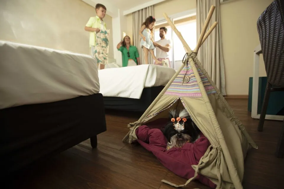 Turismo pet friendly cresce e Hot Beach aposta em infraestrutura