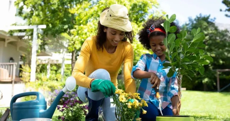hortaliças e flores ideais para cultivar no mês