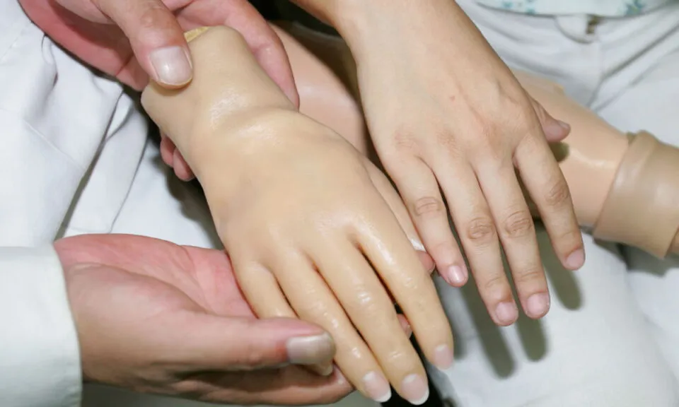 Cad a mo que estava aqui?: a ‘iluso da mo de borracha’ revela como o crebro entende o corpo
