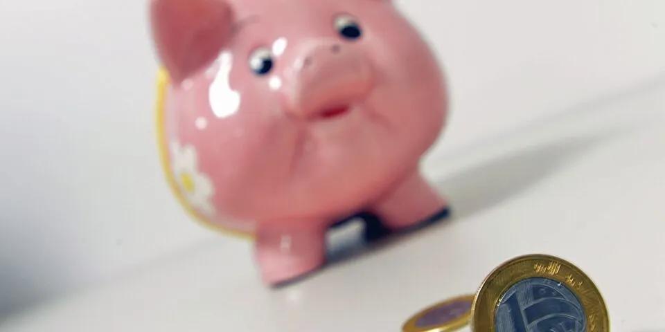 Entenda como funciona investir no Tesouro Reserva