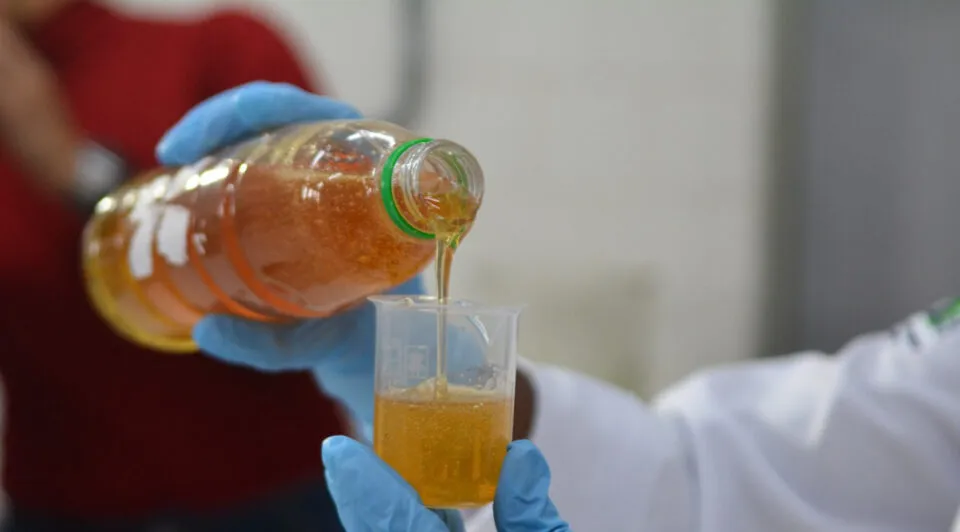 ITPS alerta para riscos do consumo de mel adulterado ou contaminado em Sergipe