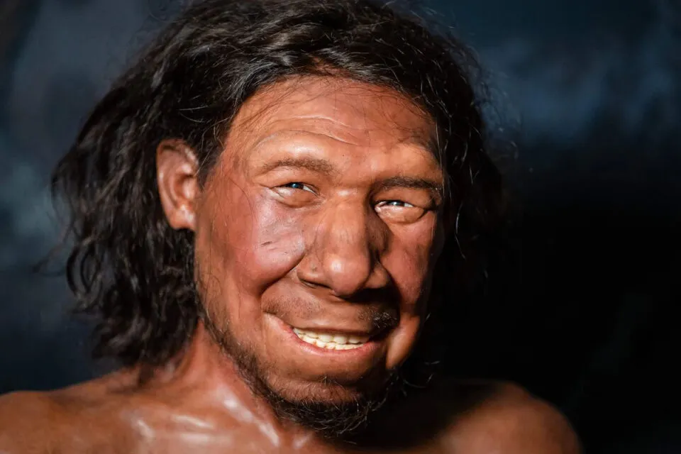 No somos nicos: outras espcies humanas moldaram o DNA humano moderno