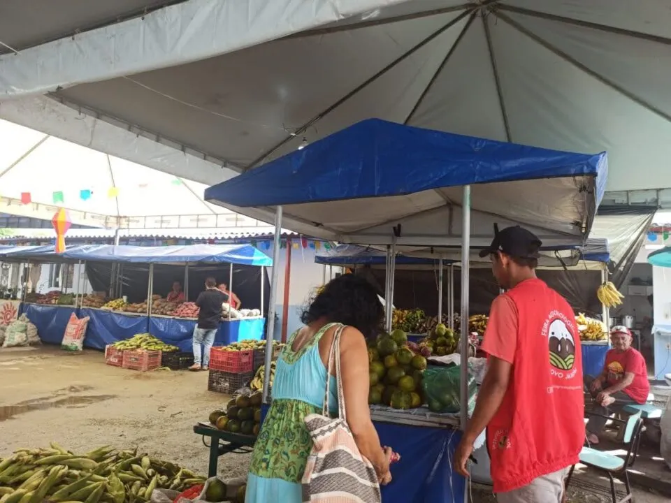 Programação cultural recheada e comida sem veneno, Feira Agroecológica Novo Jardim está de volta!