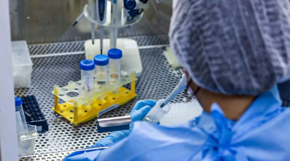 Sergipe confirma circulação do subclado K da influenza A (H3N2)