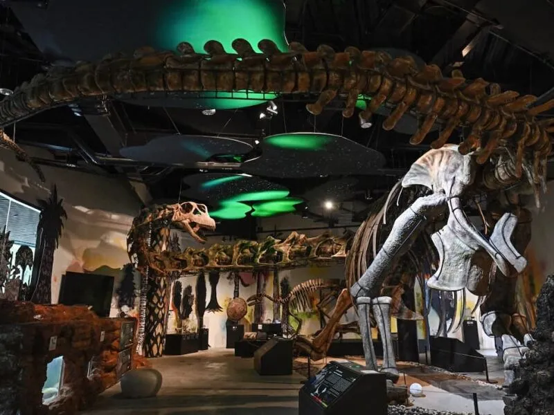 Tailândia identifica maior dinossauro do Sudeste Asiático