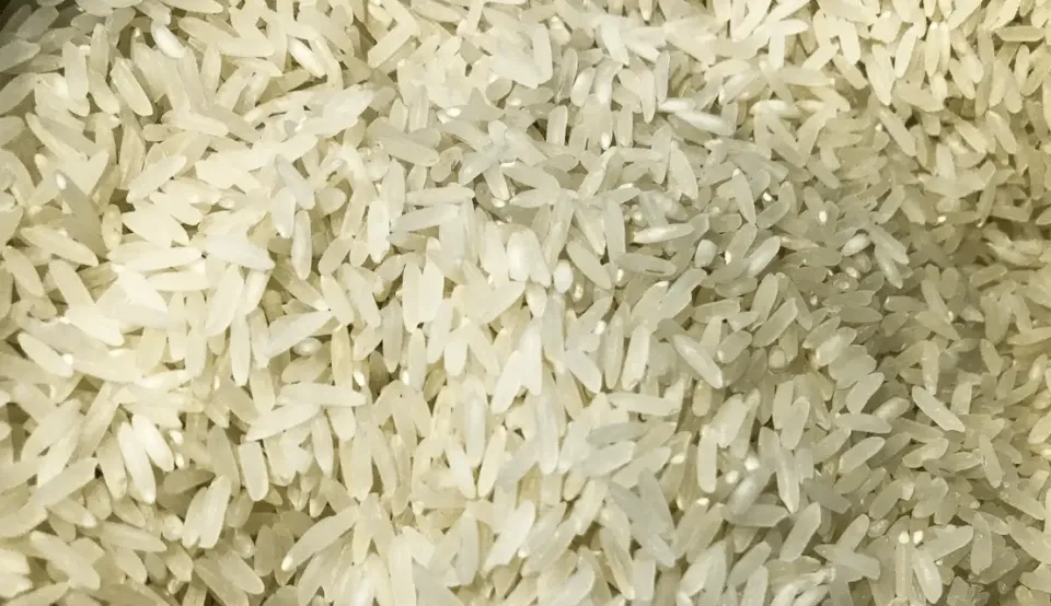 Camil Alimentos propõe aumento de capital de R$ 1,39 bi