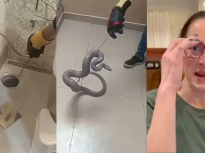 Silvia Abravanel acha cobra de estimação no ralo de banheiro após cinco meses: ‘ela é um neném’