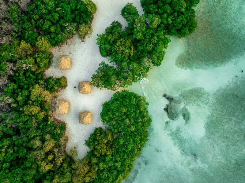 Aruba é reconhecida como Reserva da Biosfera pela Unesco