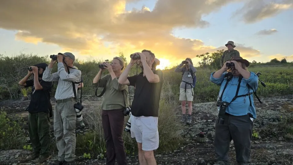 Participação brasileira na Global BirdFair leva ao Reino Unido experiências de observação da vida silvestre