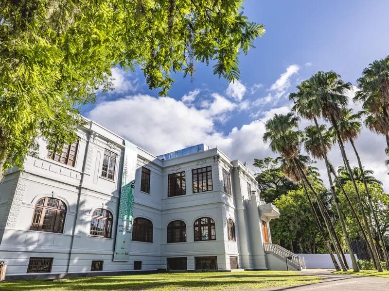 Museu do Jardim Botânico, no Rio, celebra dois anos de reabertura e imersão na flora brasileira