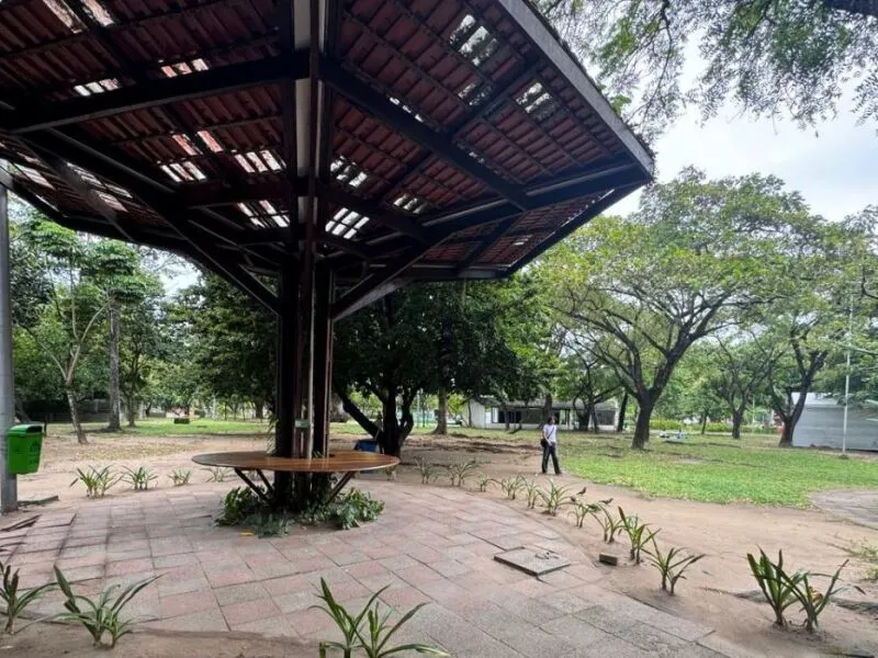 Recife promove primeiro encontro de leitura coletiva em parque público neste sábado