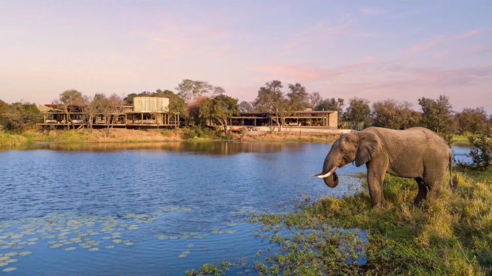 Sabi Sabi Collection abre novo hotel de luxo na África do Sul
