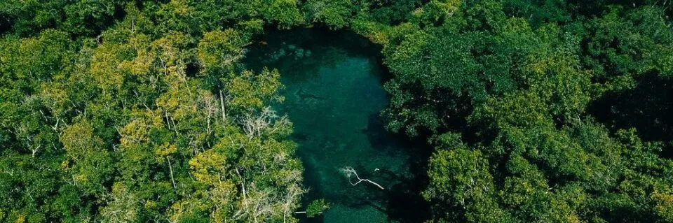 Webinar apresenta Guia ESG do Turismo Brasileiro para o trade nacional
