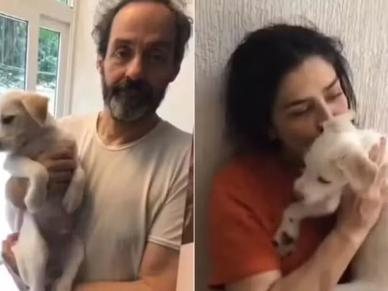Justiça ordena devolução do cachorro de Letícia Sabatella e autoriza uso de força policial