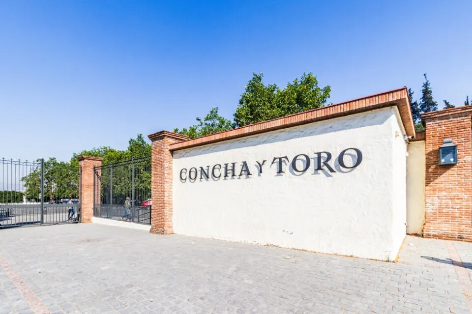Concha y Toro integra Infotera e amplia distribuição de experiências para o trade brasileiro