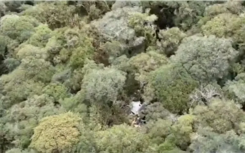 Destroço do helicóptero com o cantor sertanejo Rick é encontrado em Santa Catarina