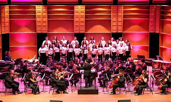 Orquestra Jovem de Sergipe apresentará Concerto Geek Sinfônico
