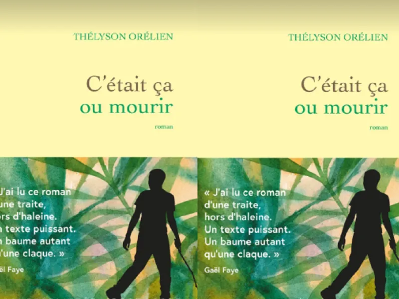 Romance que virou fenômeno literário na França é acusado de ter sido escrito com IA