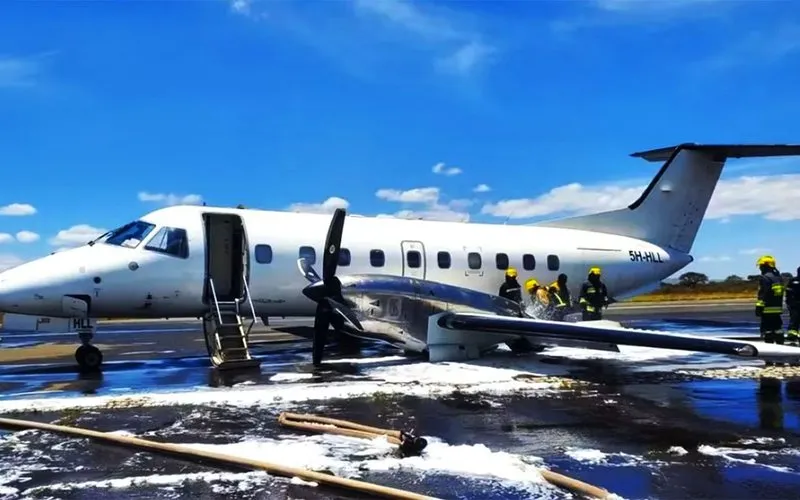 Avião pousa em emergência após colisão com zebra