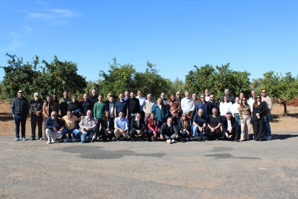 Honrado Vineyards reúne participantes da Convenção Braztoa em almoço; veja fotos