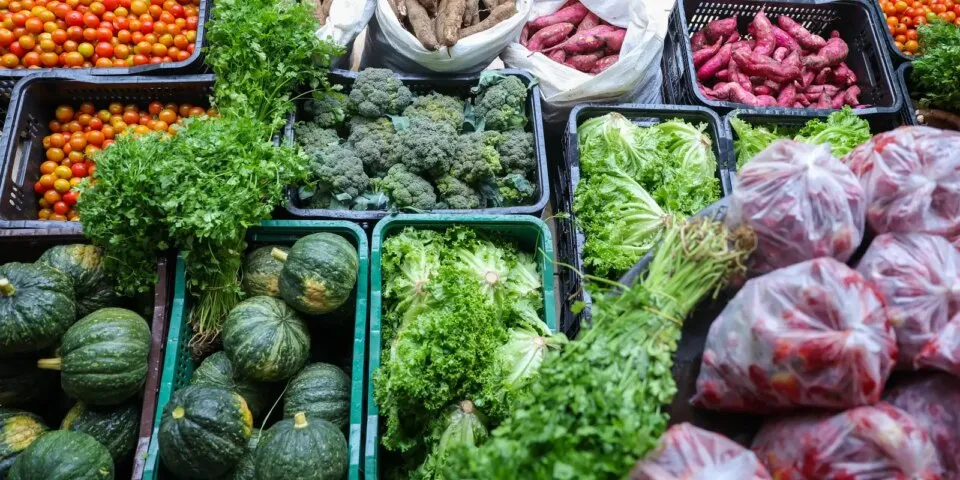 Segurança alimentar exige esforço coletivo e articulação