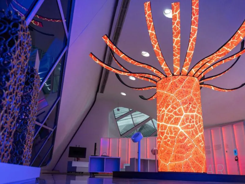 Museu do Amanhã leva prêmio American Design Awards com “Ventos que Contam”, de Nina da Hora